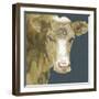 Hogans Brown Cow-Beverly Dyer-Framed Art Print