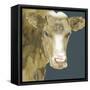 Hogans Brown Cow-Beverly Dyer-Framed Stretched Canvas