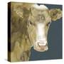 Hogans Brown Cow-Beverly Dyer-Stretched Canvas