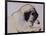 Hogarth, 1982-Brenda Brin Booker-Framed Giclee Print