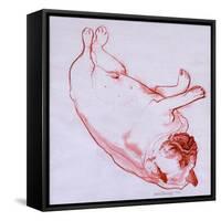 Hogarth Sleeping, 2005-Joan Thewsey-Framed Stretched Canvas