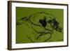 Hogarth'-Brenda Brin Booker-Framed Giclee Print