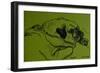 Hogarth'-Brenda Brin Booker-Framed Premium Giclee Print