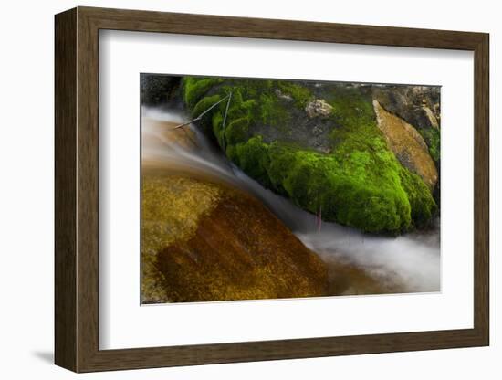 Hogback Creek, Mt Whitney, California-Steve Gadomski-Framed Photographic Print
