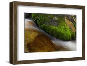 Hogback Creek, Mt Whitney, California-Steve Gadomski-Framed Photographic Print