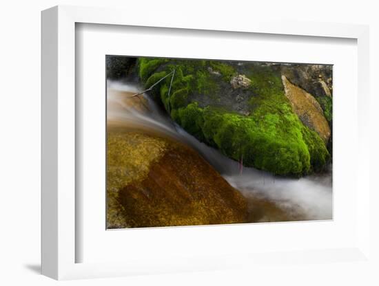 Hogback Creek, Mt Whitney, California-Steve Gadomski-Framed Photographic Print