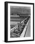 Hogs in pens being tended at Manzanar, 1943-Ansel Adams-Framed Photographic Print