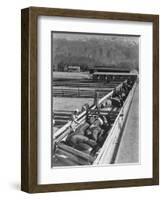 Hogs in pens being tended at Manzanar, 1943-Ansel Adams-Framed Photographic Print