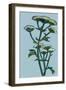 Hogweed  acrylic on board-Sarah Thompson-Engels-Framed Giclee Print