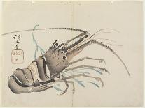 Crayfish, C. 1830-Hogyoku-Giclee Print