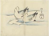 Lily, 1839-Hogyoku-Giclee Print