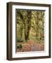 Hoh Rain Forest, Olympic National Park, Washington State, Usa-Gerry Reynolds-Framed Photographic Print