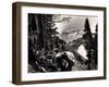 Hoh-Solduc Trail, Olympic Peninsula, Undated-Asahel Curtis-Framed Giclee Print