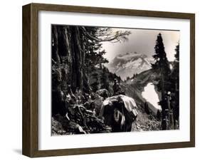 Hoh-Solduc Trail, Olympic Peninsula, Undated-Asahel Curtis-Framed Giclee Print
