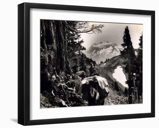 Hoh-Solduc Trail, Olympic Peninsula, Undated-Asahel Curtis-Framed Giclee Print