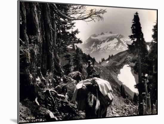 Hoh-Solduc Trail, Olympic Peninsula, Undated-Asahel Curtis-Mounted Giclee Print