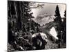 Hoh-Solduc Trail, Olympic Peninsula, Undated-Asahel Curtis-Mounted Giclee Print