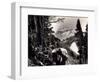 Hoh-Solduc Trail, Olympic Peninsula, Undated-Asahel Curtis-Framed Giclee Print