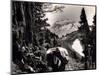 Hoh-Solduc Trail, Olympic Peninsula, Undated-Asahel Curtis-Mounted Giclee Print