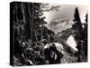 Hoh-Solduc Trail, Olympic Peninsula, Undated-Asahel Curtis-Stretched Canvas