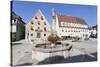 Hohenlohe Region, Taubertal Valley, Romantische Strasse (Romantic Road), Baden Wurttemberg, Germany-Markus Lange-Stretched Canvas