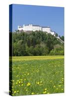 Hohensalzburg Fortress, Salzburg, Salzburger Land, Austria, Europe-Markus Lange-Stretched Canvas