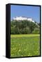 Hohensalzburg Fortress, Salzburg, Salzburger Land, Austria, Europe-Markus Lange-Framed Stretched Canvas