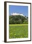 Hohensalzburg Fortress, Salzburg, Salzburger Land, Austria, Europe-Markus Lange-Framed Photographic Print