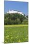 Hohensalzburg Fortress, Salzburg, Salzburger Land, Austria, Europe-Markus Lange-Mounted Photographic Print