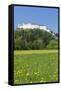 Hohensalzburg Fortress, Salzburg, Salzburger Land, Austria, Europe-Markus Lange-Framed Stretched Canvas