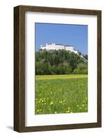 Hohensalzburg Fortress, Salzburg, Salzburger Land, Austria, Europe-Markus Lange-Framed Photographic Print