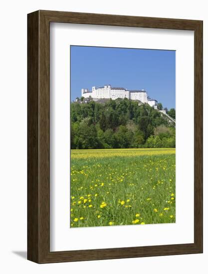 Hohensalzburg Fortress, Salzburg, Salzburger Land, Austria, Europe-Markus Lange-Framed Photographic Print