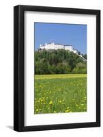 Hohensalzburg Fortress, Salzburg, Salzburger Land, Austria, Europe-Markus Lange-Framed Photographic Print