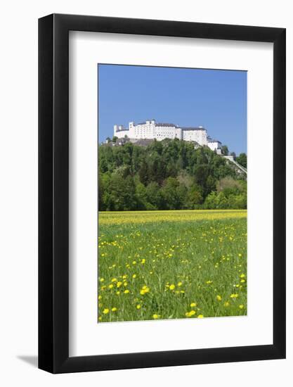 Hohensalzburg Fortress, Salzburg, Salzburger Land, Austria, Europe-Markus Lange-Framed Photographic Print