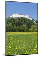 Hohensalzburg Fortress, Salzburg, Salzburger Land, Austria, Europe-Markus Lange-Mounted Photographic Print