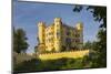 Hohenschwangau Castle, FŸssen, AllgŠu, Upper Bavaria, Bavaria, Germany-Rainer Mirau-Mounted Photographic Print