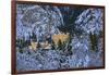 Hohenschwangau Castle near Schwangau, Allgau, Bavaria, Germany, Europe-Hans-Peter Merten-Framed Photographic Print