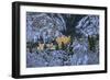 Hohenschwangau Castle near Schwangau, Allgau, Bavaria, Germany, Europe-Hans-Peter Merten-Framed Photographic Print