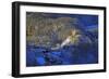 Hohenschwangau Castle near Schwangau, Allgau, Bavaria, Germany, Europe-Hans-Peter Merten-Framed Photographic Print