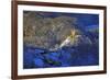 Hohenschwangau Castle near Schwangau, Allgau, Bavaria, Germany, Europe-Hans-Peter Merten-Framed Photographic Print