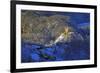 Hohenschwangau Castle near Schwangau, Allgau, Bavaria, Germany, Europe-Hans-Peter Merten-Framed Photographic Print