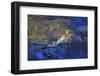 Hohenschwangau Castle near Schwangau, Allgau, Bavaria, Germany, Europe-Hans-Peter Merten-Framed Photographic Print