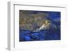 Hohenschwangau Castle near Schwangau, Allgau, Bavaria, Germany, Europe-Hans-Peter Merten-Framed Photographic Print