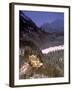 Hohenschwangau Castle, Schwangau, Bayern, Germany-Walter Bibikow-Framed Photographic Print