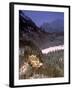 Hohenschwangau Castle, Schwangau, Bayern, Germany-Walter Bibikow-Framed Photographic Print