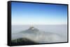 Hohenzollern Castle in Early Morning Fog-Markus-Framed Stretched Canvas