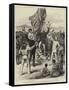 Hoisting the British Flag in New Guinea, Mr H M Chester, Queensland Magistrate, Calling for Cheers-null-Framed Stretched Canvas