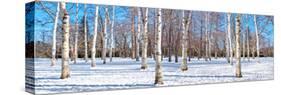 Hokkaido 1-Alan Blaustein-Stretched Canvas