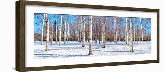 Hokkaido 1-Alan Blaustein-Framed Photographic Print