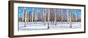 Hokkaido 1-Alan Blaustein-Framed Photographic Print